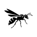 Dragon Fly
