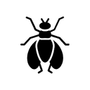 Flies