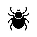 Ticks