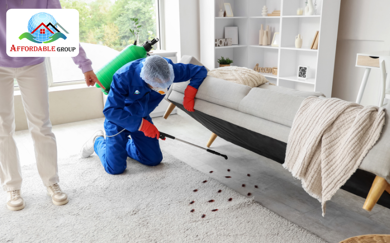 Pest Control